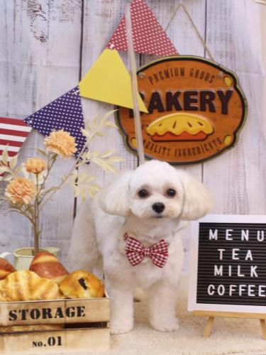 20240910みみくん